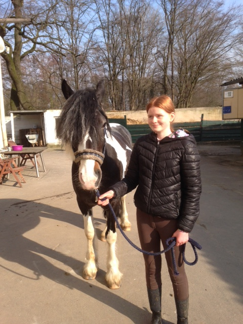 Betriebspraktikum der Lindenauschule in Hanau- Großauheim in der 8. Jahrgangsstufe