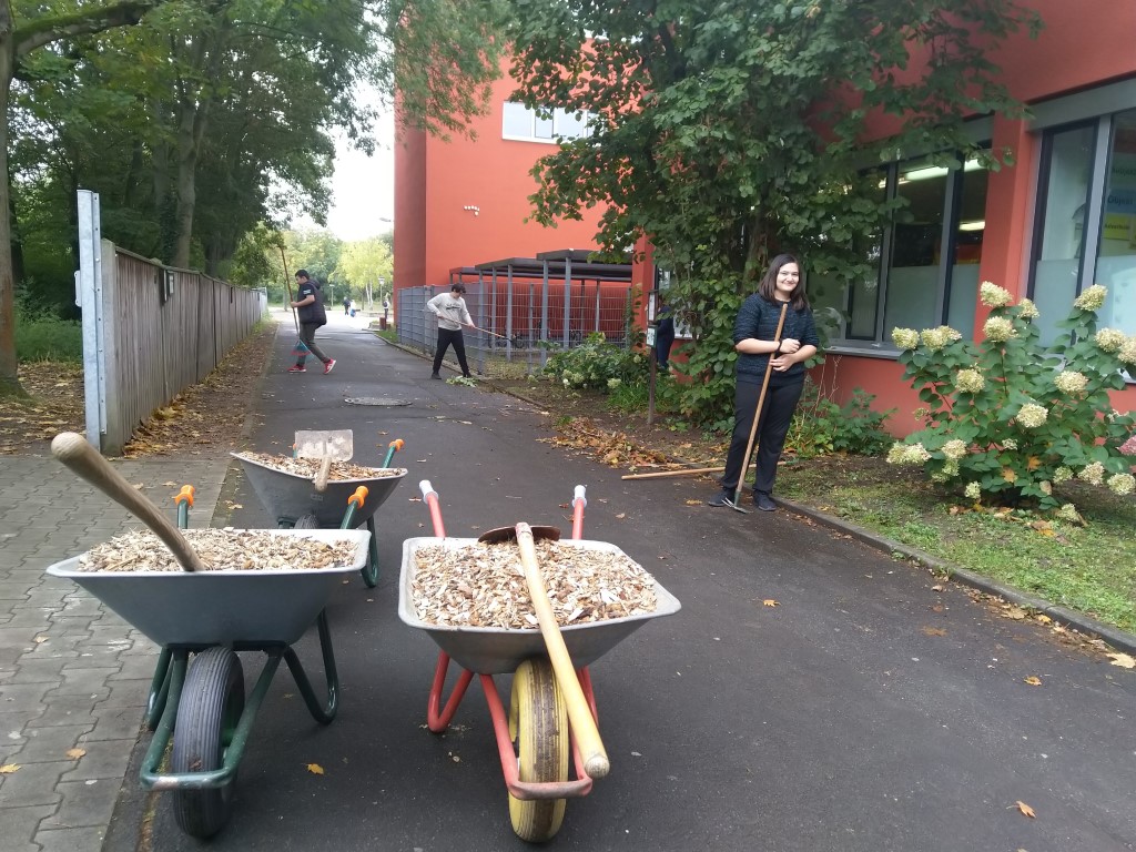 Umwelttag an der Lindenauschule