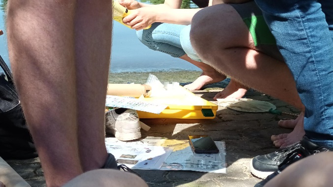 Untersuchung der Gewässergütequalität des Mains